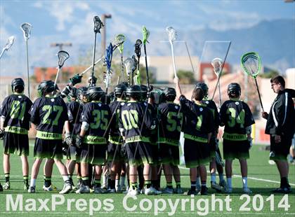 Thumbnail 2 in Palo Verde vs Palo Verde V2 photogallery.