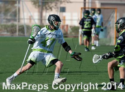 Thumbnail 2 in Palo Verde vs Palo Verde V2 photogallery.