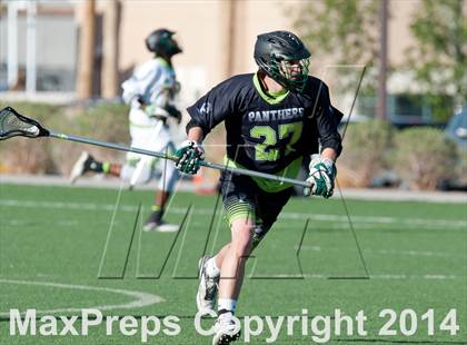 Thumbnail 2 in Palo Verde vs Palo Verde V2 photogallery.