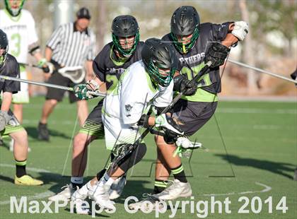 Thumbnail 1 in Palo Verde vs Palo Verde V2 photogallery.