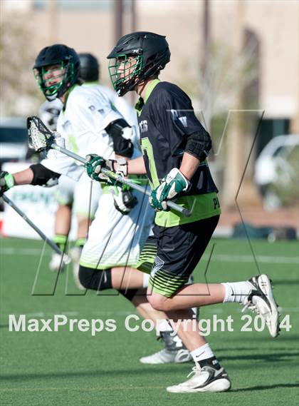 Thumbnail 2 in Palo Verde vs Palo Verde V2 photogallery.