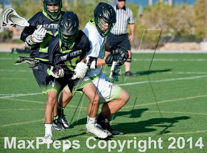 Thumbnail 1 in Palo Verde vs Palo Verde V2 photogallery.