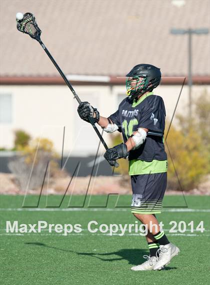 Thumbnail 3 in Palo Verde vs Palo Verde V2 photogallery.