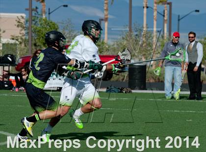 Thumbnail 1 in Palo Verde vs Palo Verde V2 photogallery.