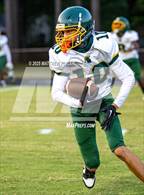 Photo from the gallery "Pine Forest @ Seventy-First"