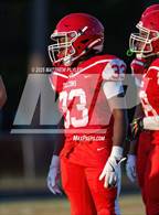 Photo from the gallery "Pine Forest @ Seventy-First"