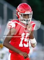 Photo from the gallery "Pine Forest @ Seventy-First"
