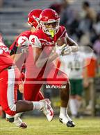 Photo from the gallery "Pine Forest @ Seventy-First"