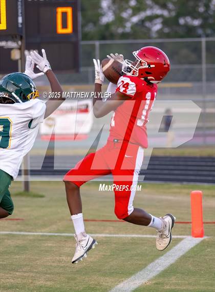 Thumbnail 3 in Pine Forest @ Seventy-First photogallery.
