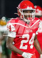 Photo from the gallery "Pine Forest @ Seventy-First"