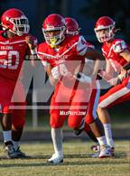 Photo from the gallery "Pine Forest @ Seventy-First"