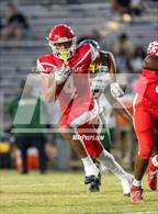Photo from the gallery "Pine Forest @ Seventy-First"
