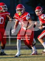 Photo from the gallery "Pine Forest @ Seventy-First"