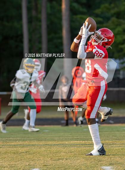 Thumbnail 3 in Pine Forest @ Seventy-First photogallery.