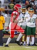 Photo from the gallery "Pine Forest @ Seventy-First"