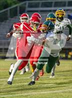 Photo from the gallery "Pine Forest @ Seventy-First"