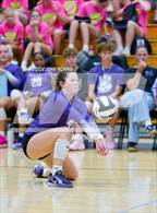 Photo from the gallery "Warsaw @ Leo"