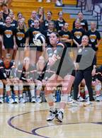 Photo from the gallery "Warsaw @ Leo"