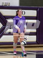 Photo from the gallery "Warsaw @ Leo"