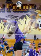 Photo from the gallery "Warsaw @ Leo"