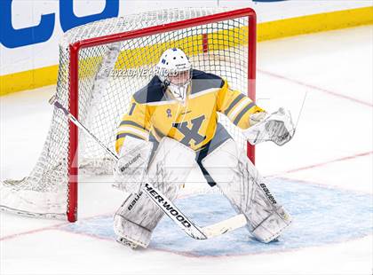 Thumbnail 1 in Xaverian Brothers vs St. John's Prep (MIAA Division 1 State Final) photogallery.