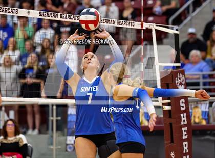 Thumbnail 1 in Gunter vs. Whitesboro (UIL 3A Volleyball Area Playoff) photogallery.