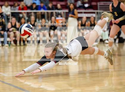 Thumbnail 3 in Gunter vs. Whitesboro (UIL 3A Volleyball Area Playoff) photogallery.