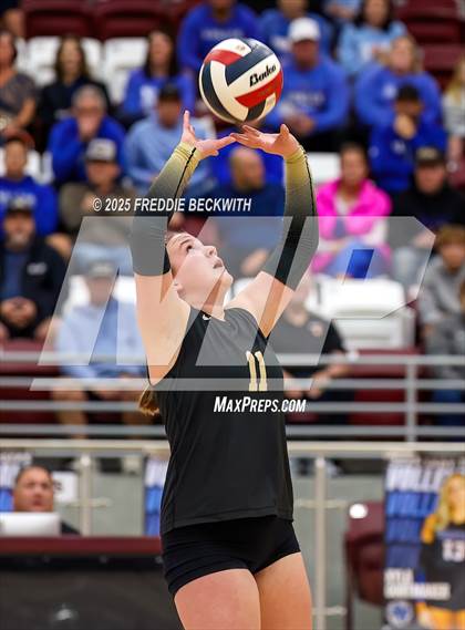 Thumbnail 3 in Gunter vs. Whitesboro (UIL 3A Volleyball Area Playoff) photogallery.