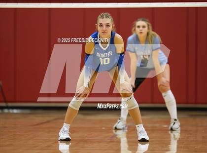 Thumbnail 3 in Gunter vs. Whitesboro (UIL 3A Volleyball Area Playoff) photogallery.