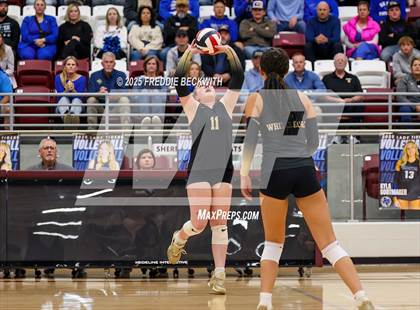 Thumbnail 1 in Gunter vs. Whitesboro (UIL 3A Volleyball Area Playoff) photogallery.