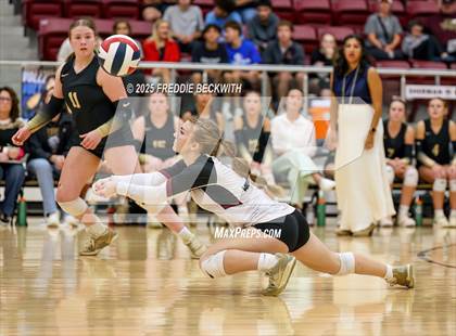 Thumbnail 3 in Gunter vs. Whitesboro (UIL 3A Volleyball Area Playoff) photogallery.