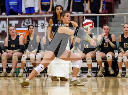 Thumbnail 3 in Gunter vs. Whitesboro (UIL 3A Volleyball Area Playoff) photogallery.