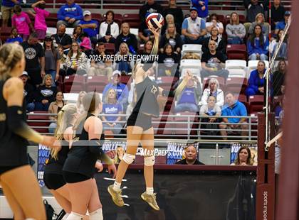 Thumbnail 1 in Gunter vs. Whitesboro (UIL 3A Volleyball Area Playoff) photogallery.