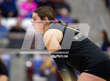Thumbnail 1 in Gunter vs. Whitesboro (UIL 3A Volleyball Area Playoff) photogallery.