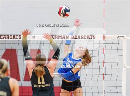 Thumbnail 1 in Gunter vs. Whitesboro (UIL 3A Volleyball Area Playoff) photogallery.