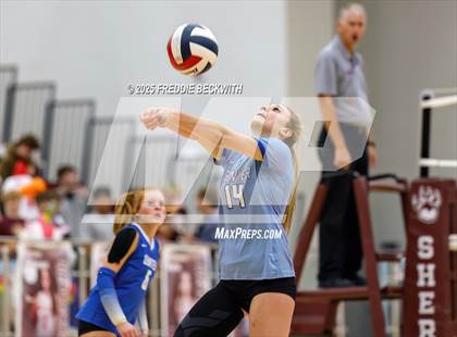 Thumbnail 1 in Gunter vs. Whitesboro (UIL 3A Volleyball Area Playoff) photogallery.