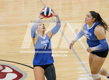 Thumbnail 2 in Gunter vs. Whitesboro (UIL 3A Volleyball Area Playoff) photogallery.