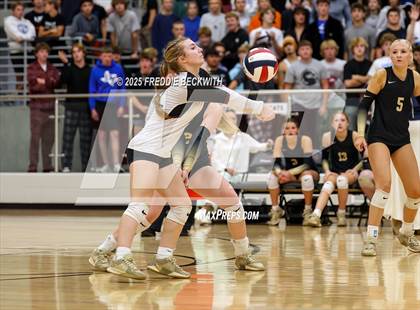 Thumbnail 1 in Gunter vs. Whitesboro (UIL 3A Volleyball Area Playoff) photogallery.