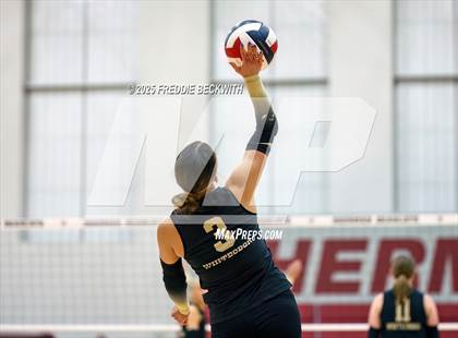 Thumbnail 1 in Gunter vs. Whitesboro (UIL 3A Volleyball Area Playoff) photogallery.