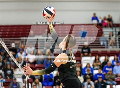 Thumbnail 3 in Gunter vs. Whitesboro (UIL 3A Volleyball Area Playoff) photogallery.