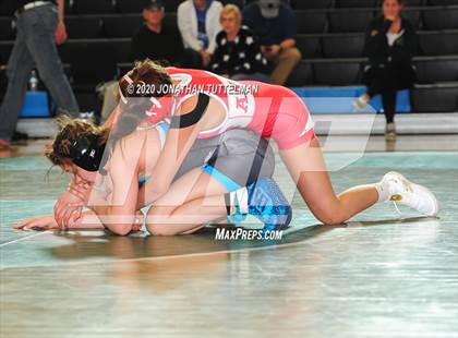 Thumbnail 3 in 2nd Annual Vista Ridge Alpha Wrestling Tournament photogallery.