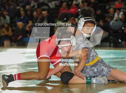 Thumbnail 3 in 2nd Annual Vista Ridge Alpha Wrestling Tournament photogallery.