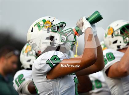 Thumbnail 2 in DeLand @ University photogallery.