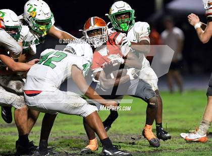 Thumbnail 2 in DeLand @ University photogallery.