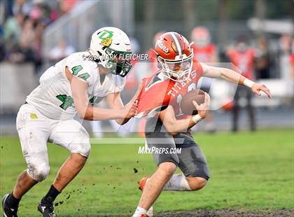 Thumbnail 3 in DeLand @ University photogallery.