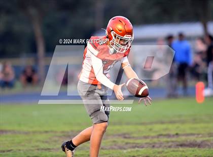 Thumbnail 3 in DeLand @ University photogallery.