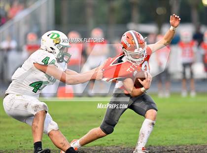 Thumbnail 2 in DeLand @ University photogallery.