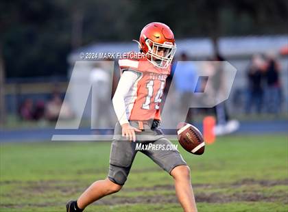 Thumbnail 2 in DeLand @ University photogallery.