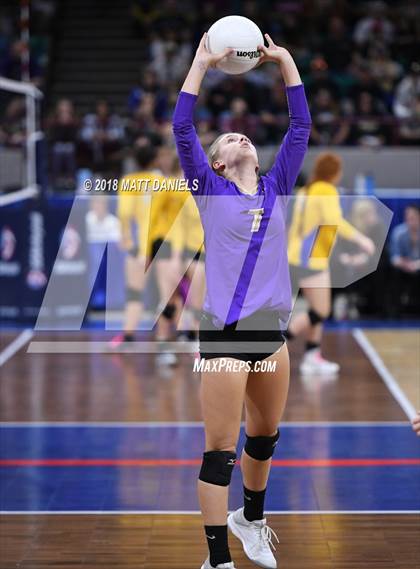 Thumbnail 2 in Lewis-Palmer vs. Holy Family (CHSAA 4A Semifinal) photogallery.