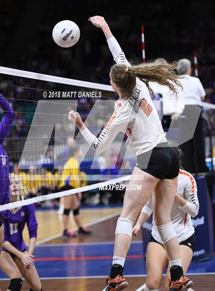 Thumbnail 3 in Lewis-Palmer vs. Holy Family (CHSAA 4A Semifinal) photogallery.